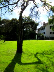 20120919Ebertpark_Hockenheim05