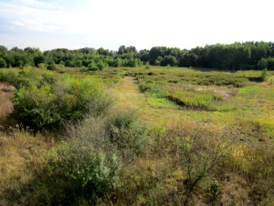 20120922_Roter_Bruch_Walldorf03