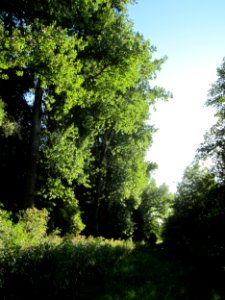 20120907Marlach1