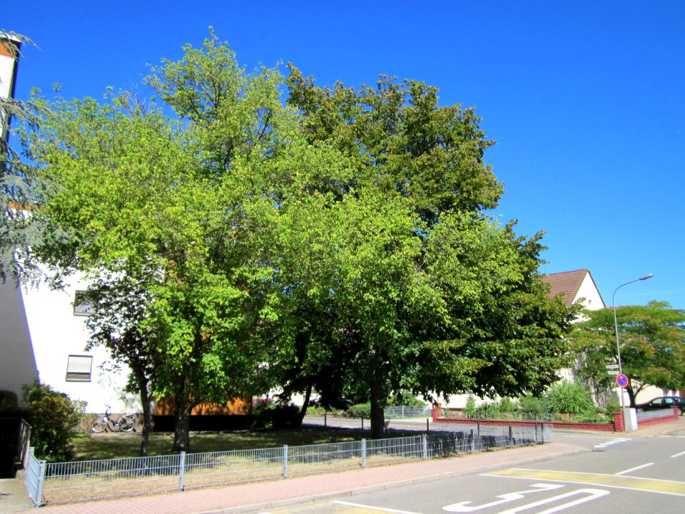 20120818Linde_Hockenheim2