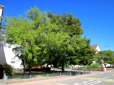 20120818Linde_Hockenheim2