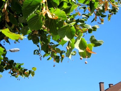 20120818Linde_Hockenheim3