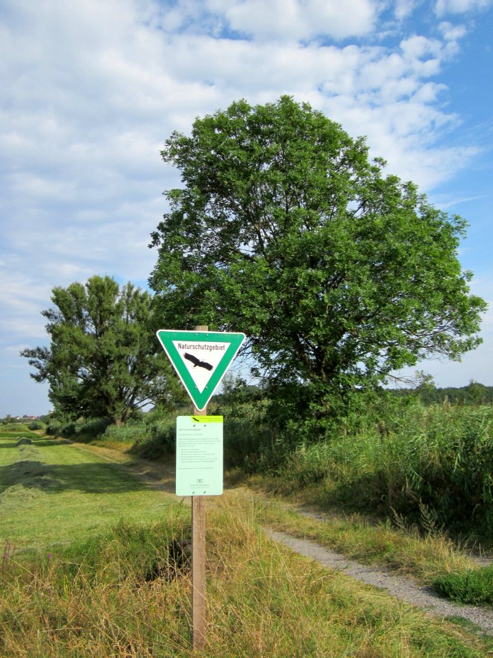 20120815Bach_Leopoldswiesen_Hockenheim30