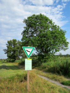 20120815Bach_Leopoldswiesen_Hockenheim30