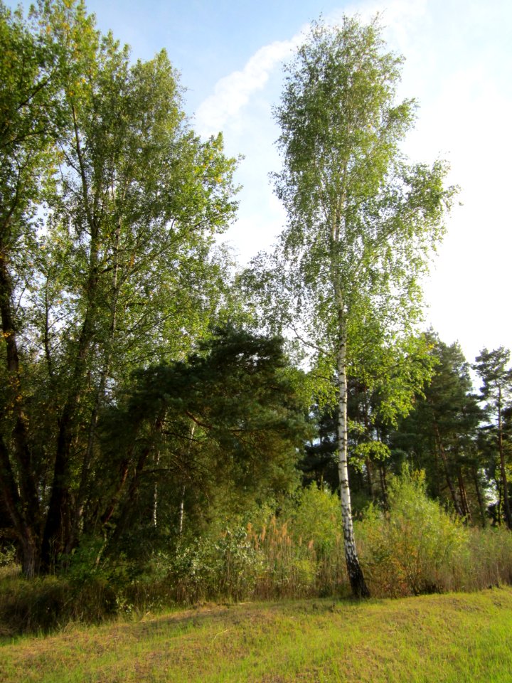 20120921Tongruben_Siegelhain13