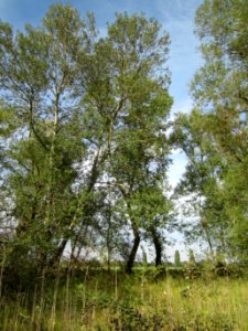 20120921Tongruben_Siegelhain02