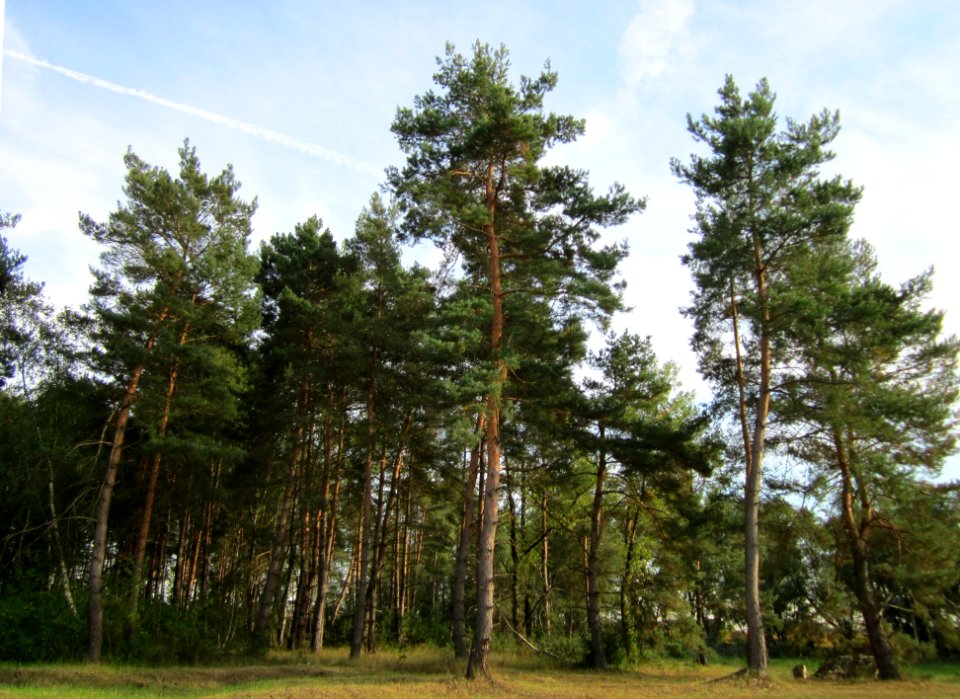 20120921Tongruben_Siegelhain14