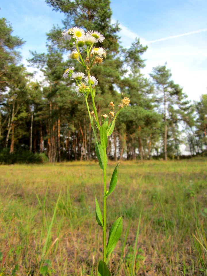 20120921Tongruben_Siegelhain15