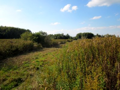 20120922_Roter_Bruch_Walldorf05