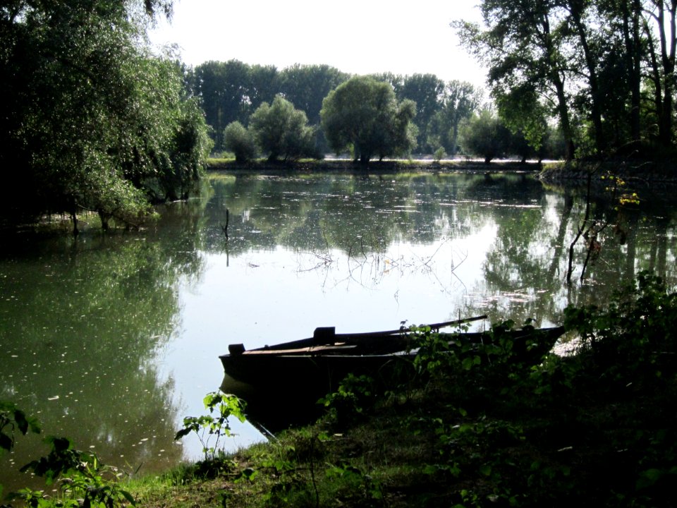 20120909Rheinauen_Altlussheim1