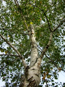 20120918Birken_Hockenheim6