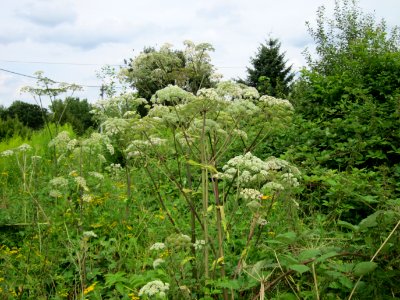 20120805Saarbruecken03