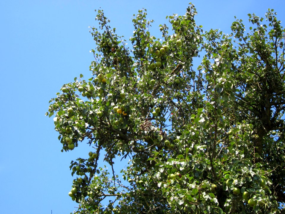 20120813Birnbaum_Hockenheim3