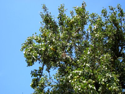 20120813Birnbaum_Hockenheim3