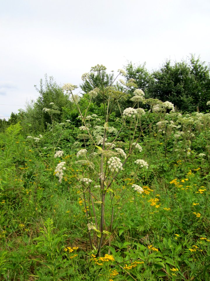 20120805Saarbruecken01