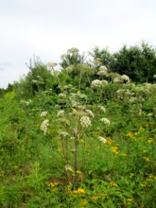 20120805Saarbruecken01