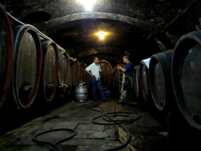 20120728Weinkeller_Eser2