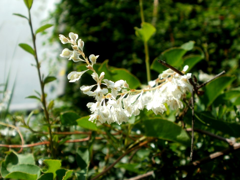 20120703Saar_Saarbruecken02