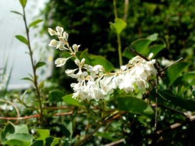 20120703Saar_Saarbruecken02