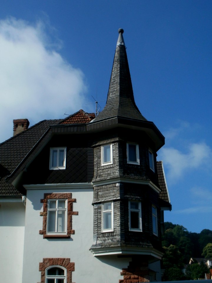 20120703Puccinistr20_St_Arnual