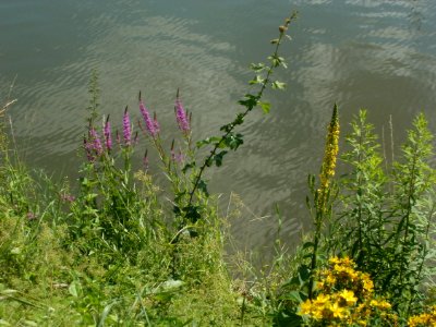 20120703Saar_Saarbruecken13
