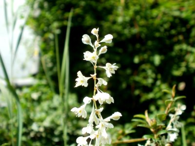 20120703Saar_Saarbruecken04