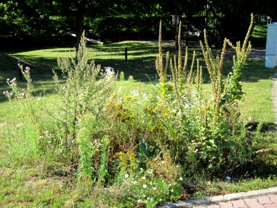 20120801Hockenheim3