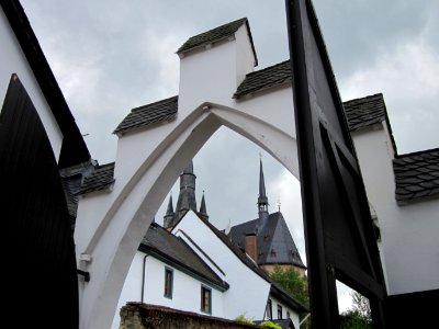 20120728Weingut_Weil_Kiedrich3