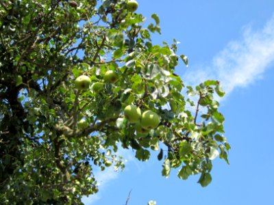 20120813Birnbaum_Hockenheim4