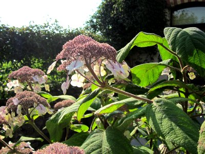 20120728Weingut_Eser04