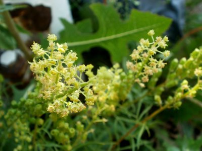 20120704Saarbrücken2