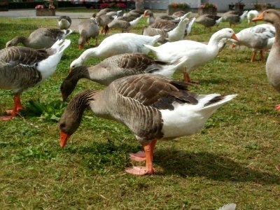 20120704Remich03