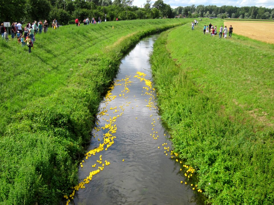 20120714Kraichbach_Ketsch1