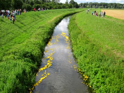 20120714Kraichbach_Ketsch1
