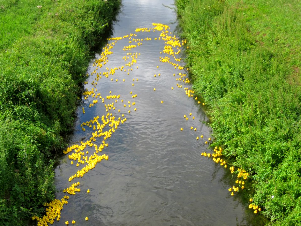 20120714Kraichbach_Ketsch2