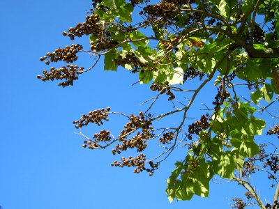 20120816Hockenheim07