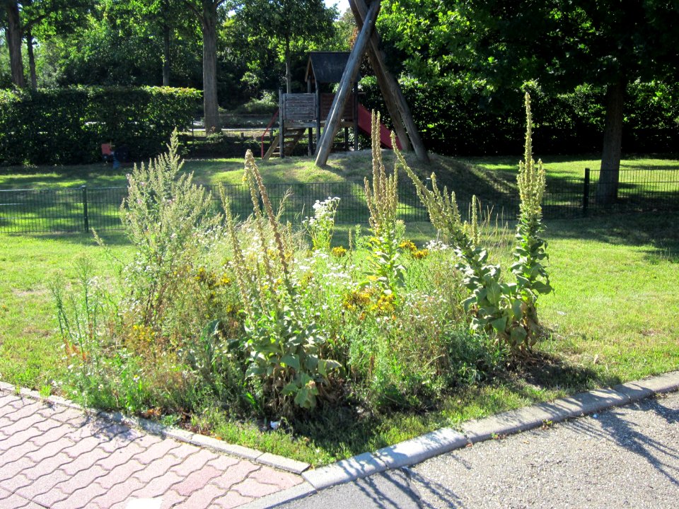 20120801Hockenheim2