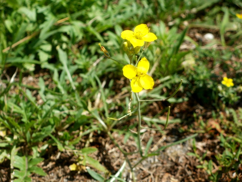 20120706Wilde_Rauke_Hockenheim3