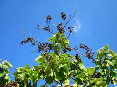 20120816Hockenheim03