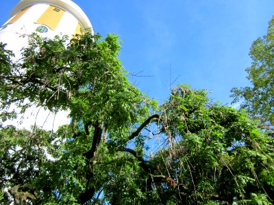 20120816Wasserturm_Hockenheim02