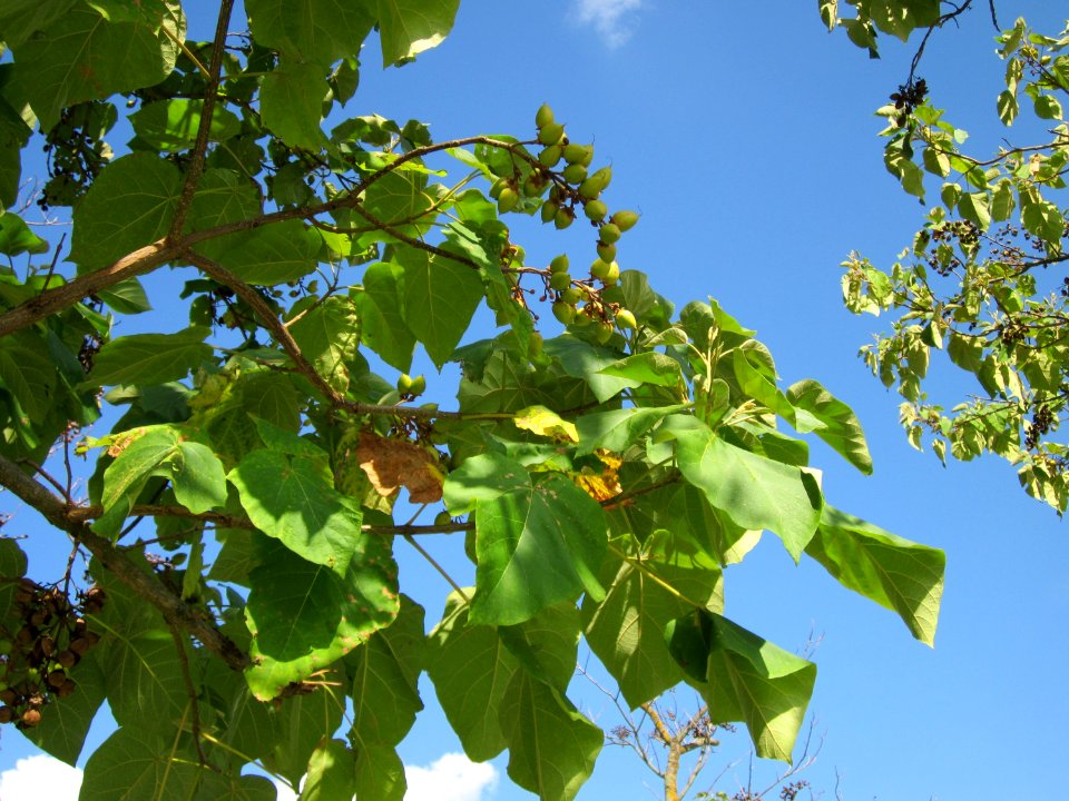 20120816Hockenheim06