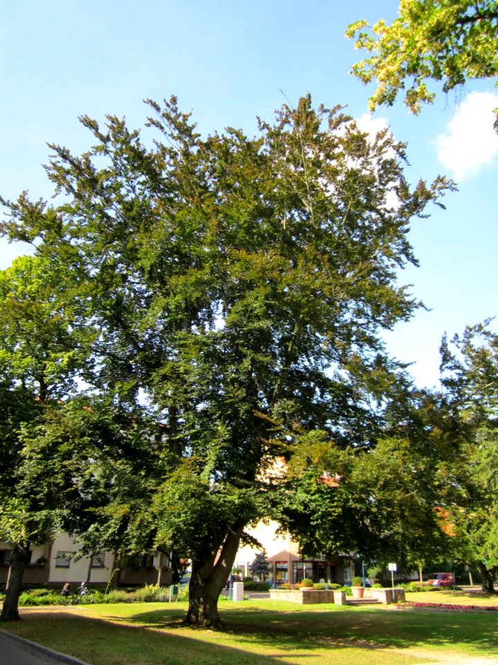 20120816Wasserturm_Hockenheim08
