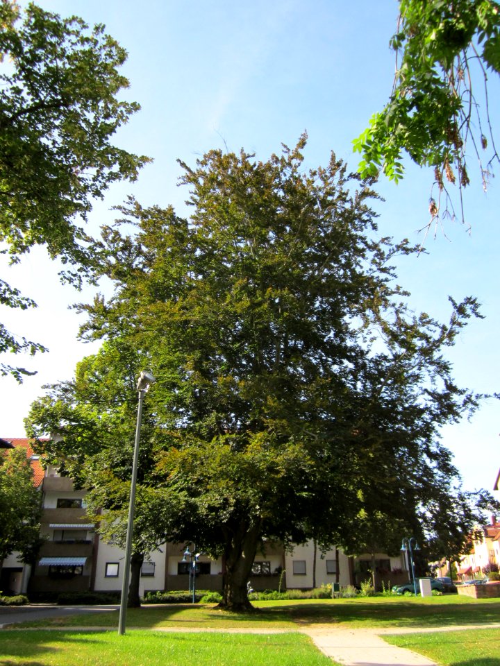 20120816Wasserturm_Hockenheim09