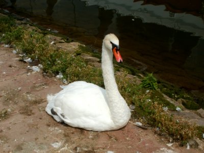 20120704Remich06