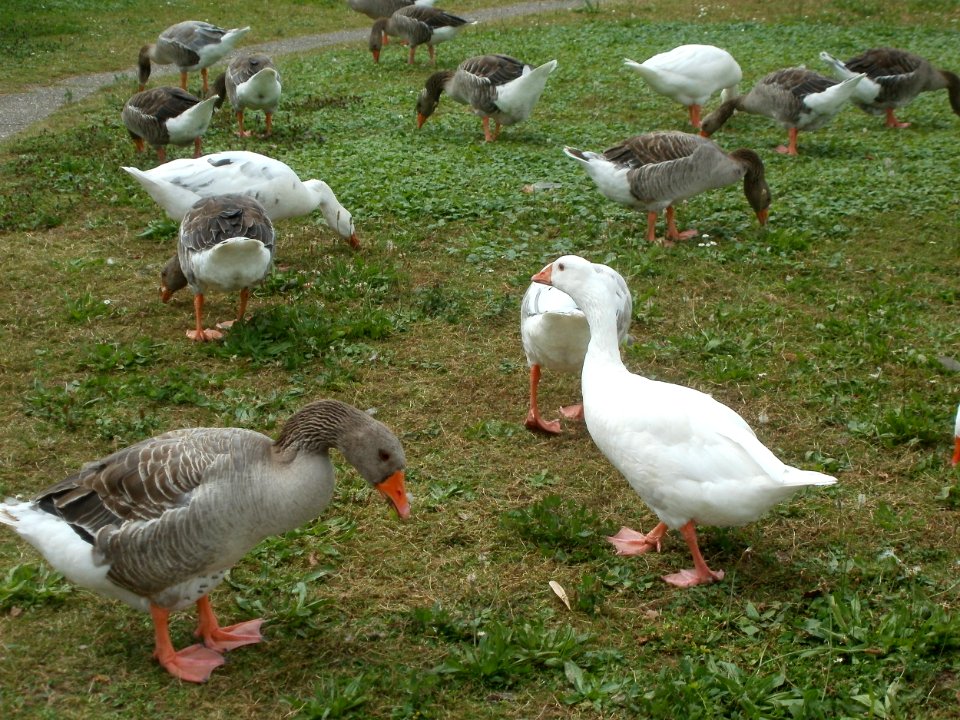 20120704Remich02