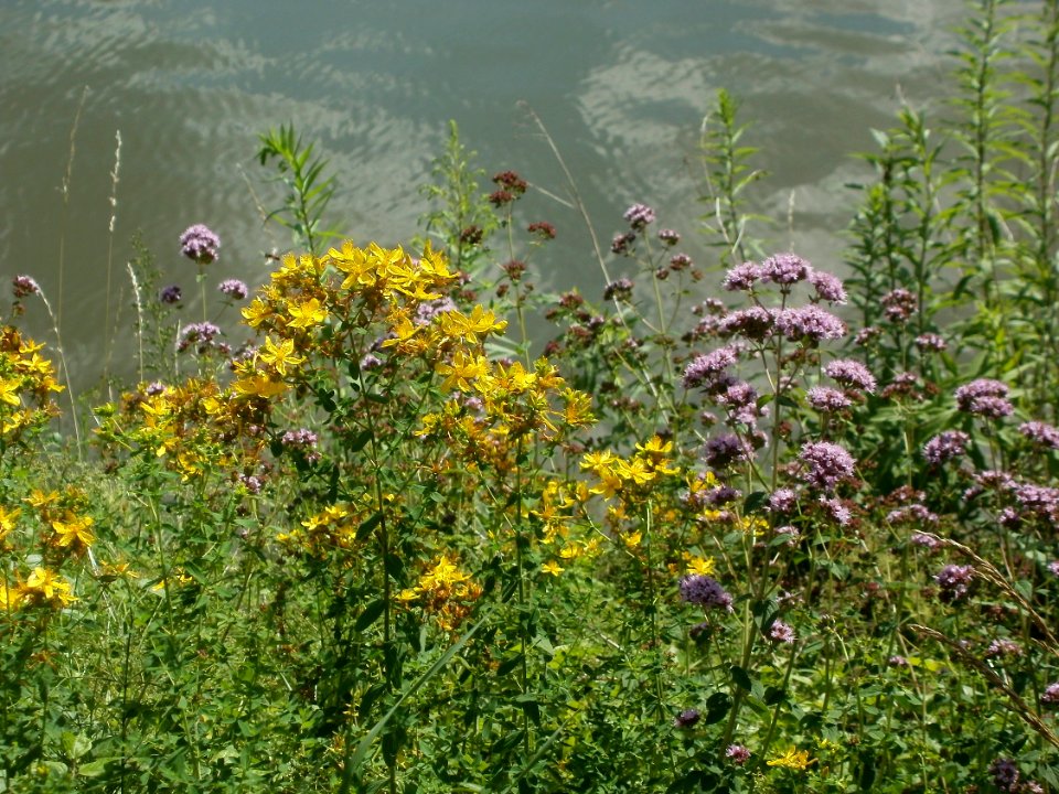 20120703Saar_Saarbruecken12