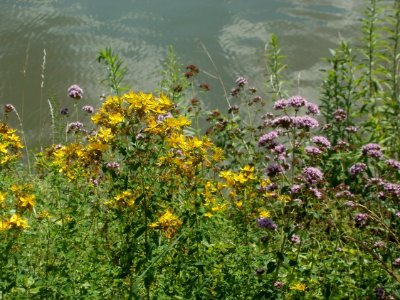 20120703Saar_Saarbruecken12
