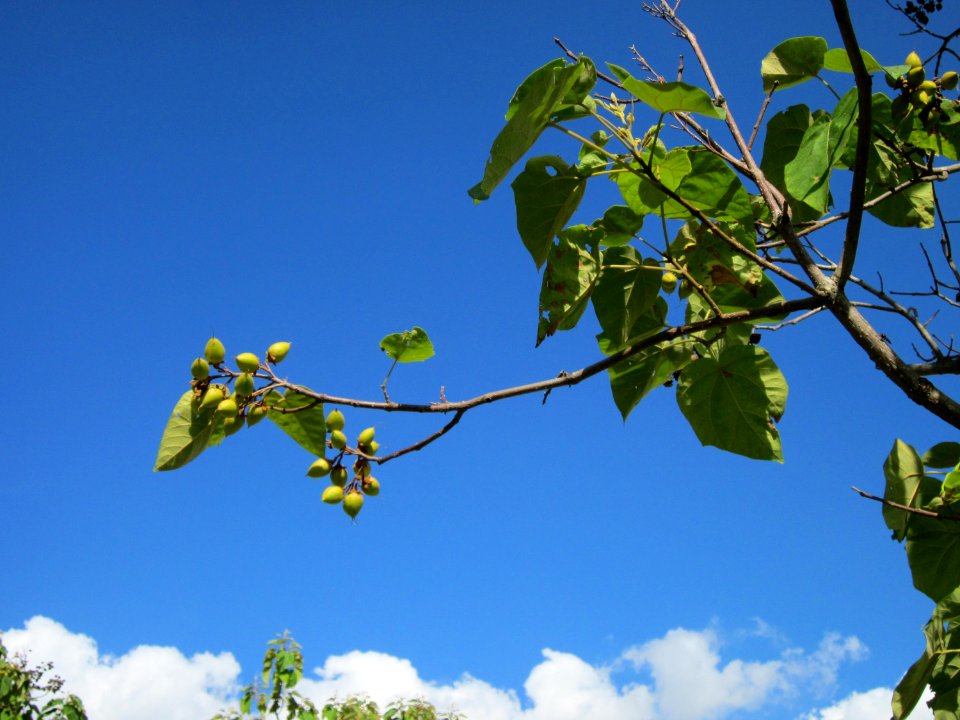 20120816Hockenheim10