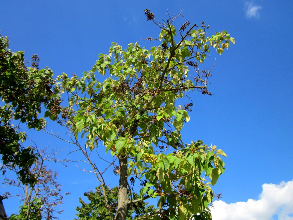 20120816Hockenheim05