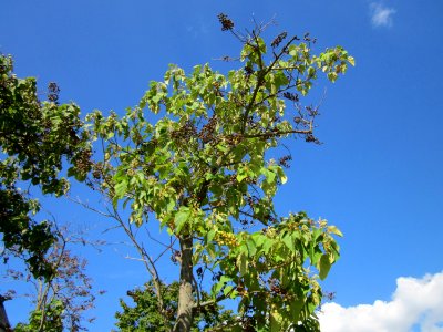 20120816Hockenheim05